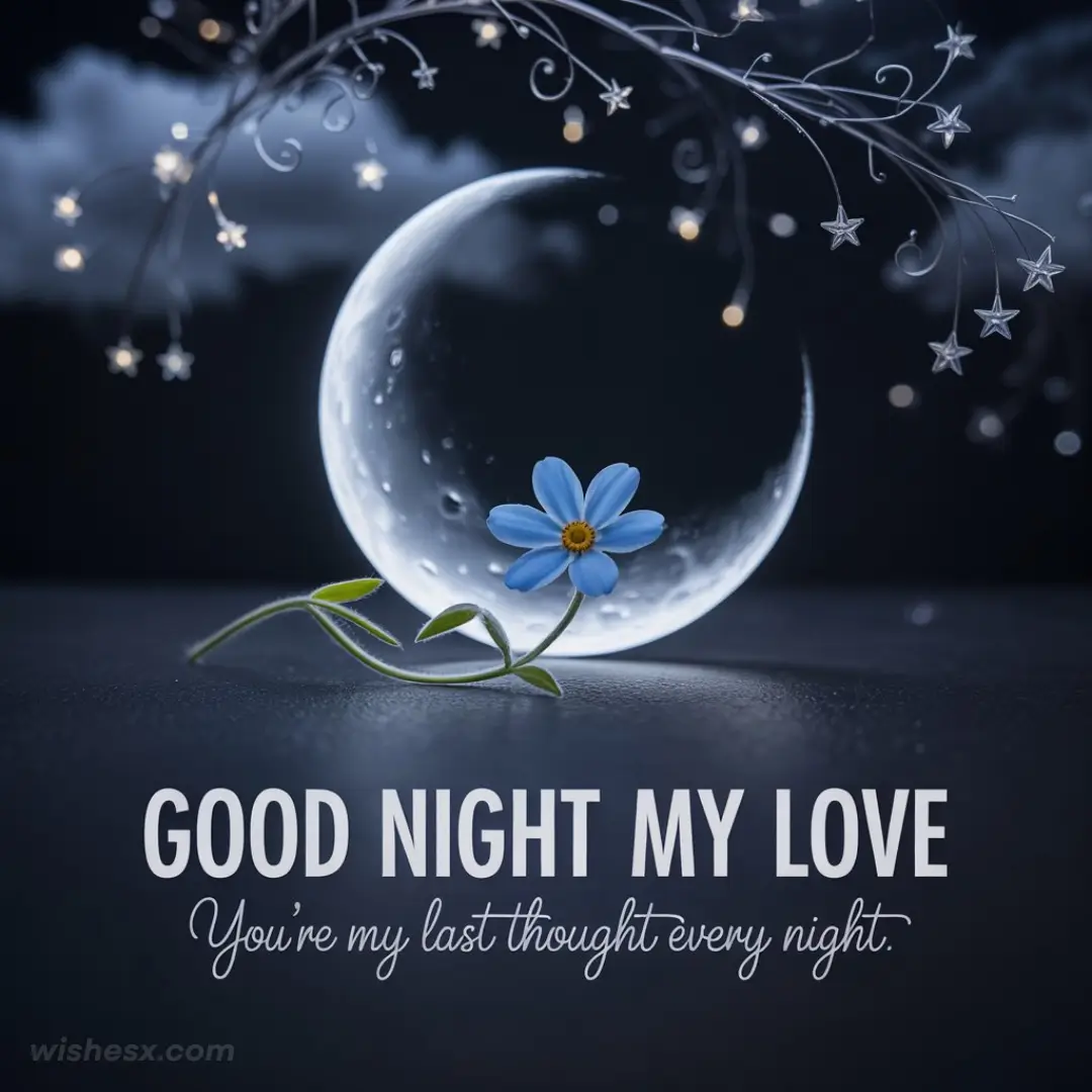 A heartfelt message saying, "Good night my love, you're my last thought tonight," written in elegant script.