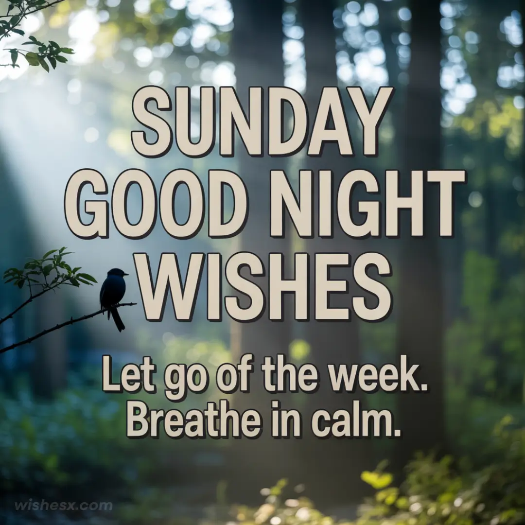 A serene image conveying Sunday good night wishes with calming colors and peaceful elements for a restful night.