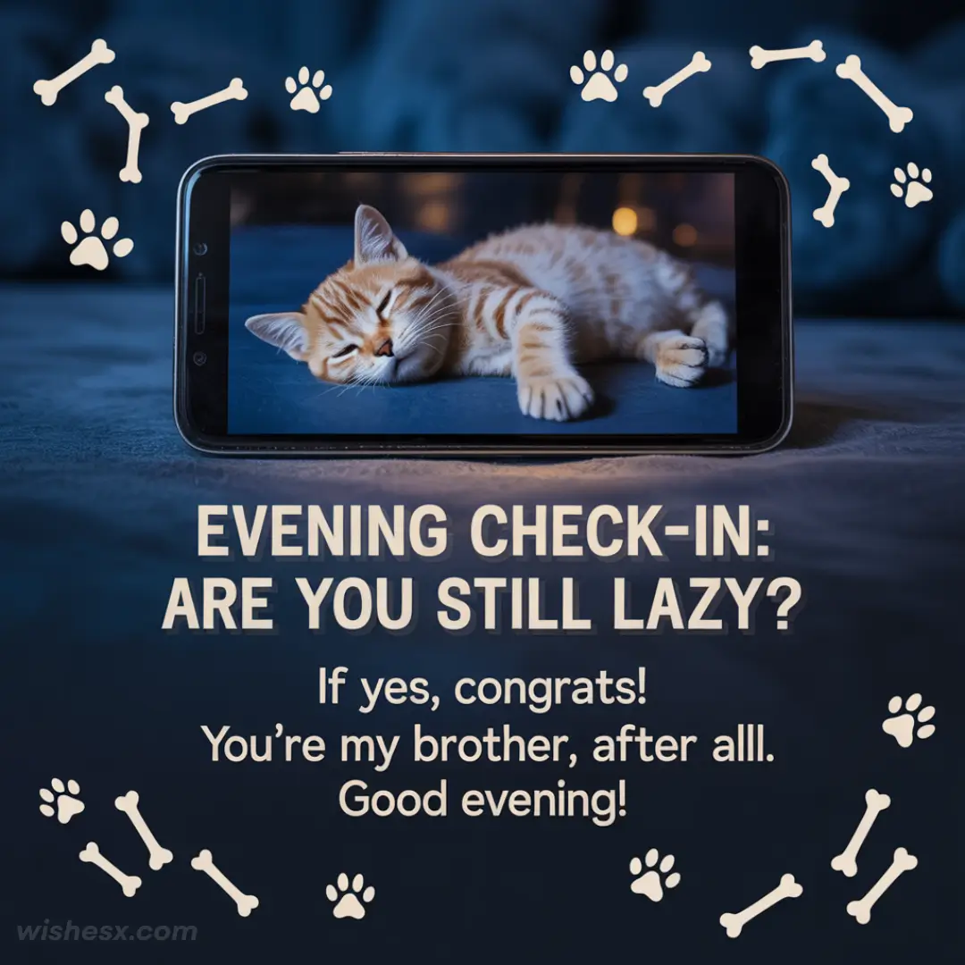 A smartphone displays a sleeping orange tabby kitten on a blue surface. Text reads, "Evening check-in: Are you still lazy? If yes, congrats! You’re my brother, after all! Good evening!" White paw prints and bones surround the scene.
