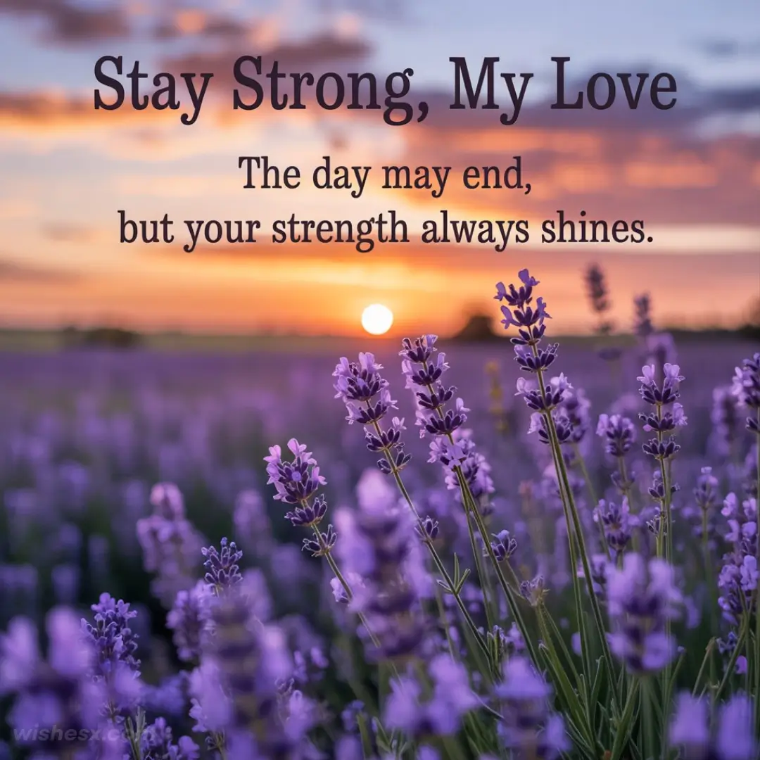 Purple lavender fields with a sunset backdrop create a calming scene. The text says, "Stay Strong, My Love. The day may end, but your strength always shines."