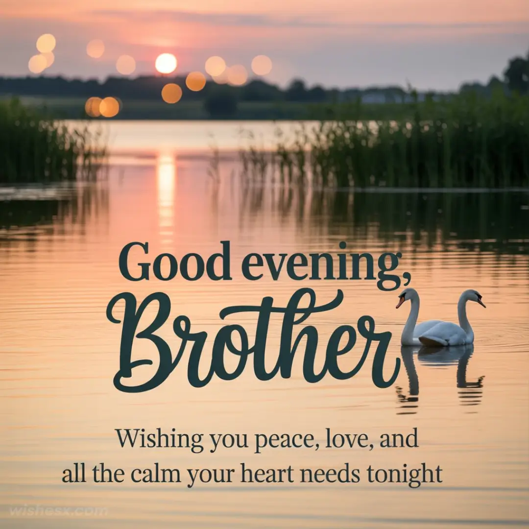 Serene lake at sunset with swans, reflecting warm pink and orange hues. Text reads: "Good evening, Brother. Wishing you peace, love, and calm."