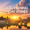Good Evening Sunday Wishes