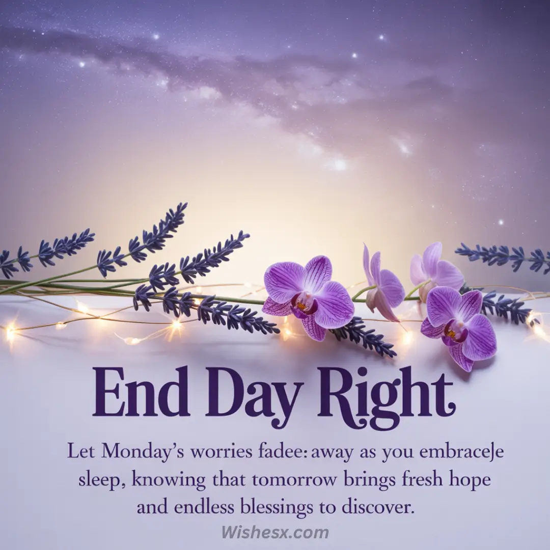 Night sky with stars and purple orchids on lavender stems, illuminated by soft fairy lights. Text reads, "End Day Right" conveying a serene and hopeful tone.
