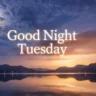 Good Night Tuesday